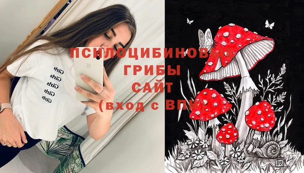 скорость Алзамай
