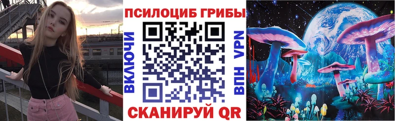 купить наркоту  Люберцы  Галлюциногенные грибы мицелий 
