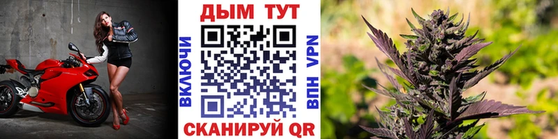 Марихуана гибрид  наркошоп  Люберцы 
